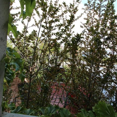 Paraiso Rooms Coliving 马德里 外观 照片
